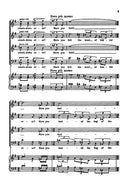 Have you seen the white lily grow