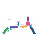 Mikrokosmos: Dance Ants