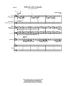 Still Life with Avalanche