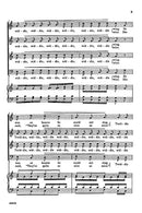 The Frog in the Spring