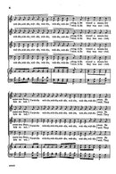 The Frog in the Spring