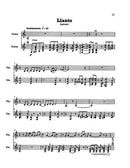 Cantos Desiertos (violin and guitar version)