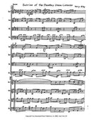 Sunrise of the Planetary Dream Collector - Digital (Not Printable)