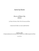 Pieces of Winter Sky