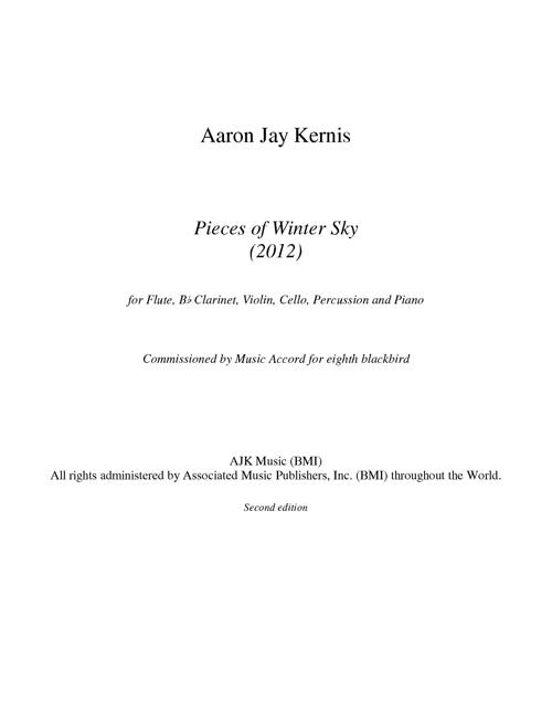 Pieces of Winter Sky