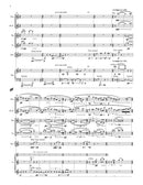 Pieces of Winter Sky