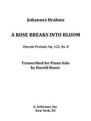 A Rose breaks into bloom Op. 122 No. 8