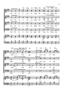 O Wonder of This Christmas Night