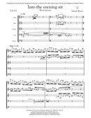 Into the Evening Air (Wind Quintet)