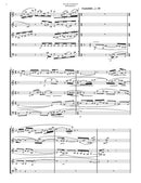 Into the Evening Air (Wind Quintet)