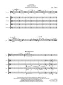 Red Maple (for bassoon and string quartet)