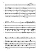 Red Maple (for bassoon and string quartet)