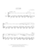 Lullaby (for flute and guitar) - Digital (Not Printable)