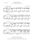 Carmen Fantasie - reduction for flute and piano - Russ