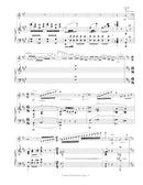 Carmen Fantasie - reduction for flute and piano - Russ