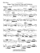 Illapa: Tone Poem for Flute and Orchestra