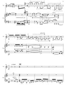 Concierto de "Dance Hits"