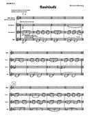 flashbulb - Digital (Not Printable)