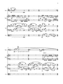 Shiner - Digital (Not Printable)