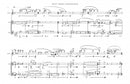 Pilgrim Soul, for 2 violins and bass flute - Digital (Not Printable)