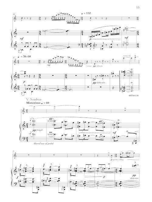 Five Andean Improvisations