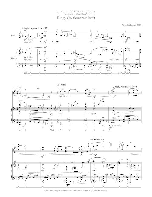 Elegy (to those we lost) for violin and piano