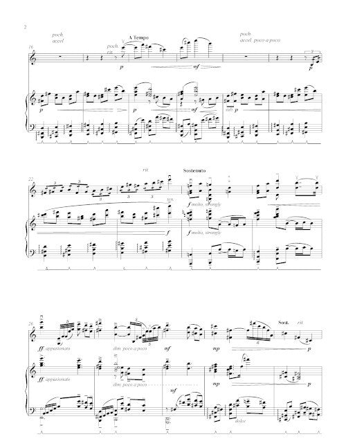 Elegy (to those we lost) for violin and piano
