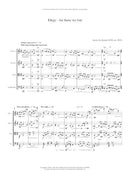 Elegy (for those we lost) for string quartet - Digital (Not Printable)
