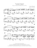 Carmen Fantasie - reduction for accordion and piano