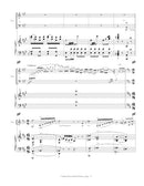 Carmen Fantasie - reduction for accordion and piano