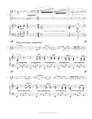 Carmen Fantasie - reduction for accordion and piano