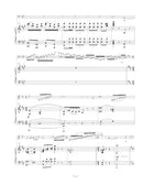 Carmen Fantasie - reduction for double bass and piano - in A