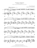 Carmen Fantasie - for violin and guitar - Digital (Not Printable)