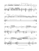 Carmen Fantasie - for violin and guitar - Digital (Not Printable)