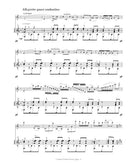 Carmen Fantasie - for violin and guitar - Digital (Not Printable)