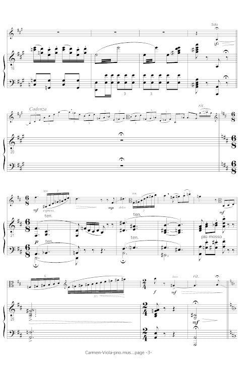 Carmen Fantasie - reduction for viola and piano