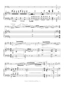 Carmen Fantasie - reduction for double bass and piano - in B