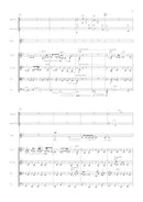 Prayer and Blessing (for soprano, percussion, and string quartet)