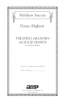 Treating Shadows as Solid Things