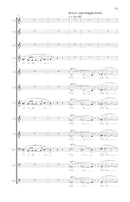 Treating Shadows as Solid Things